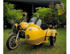 Sidecar Kit Moon Eyes Edition